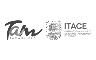 ITACE